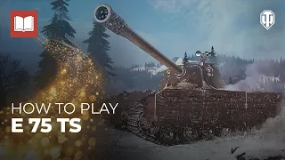 How to Play: E 75 TS