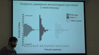 Кнорре Д. А. - Структура и функция митохондрий - Транспорт и контроль качества митохондрий