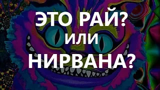 🍹#105 - Рай или Нирвана? книга курс чудес. христианство и буддизм. майавади имперсонализм лсд хиппи