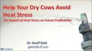 Help your dry cows avoid heat stress