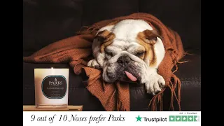 Why 9 Out of 10 Noses Prefer Parks London