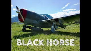 P 47 Thunderbolt 60cc - Black Horse Mainden