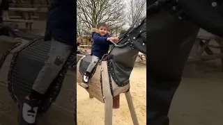 horse  |funny horse  |horses |baby horses   |baby and horse | horse videos