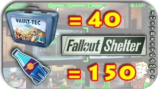 40 КЕЙСОВ + 150 ЯДЕР КОЛЫ  КУПИЛ В -  FALLOUT SHELTER