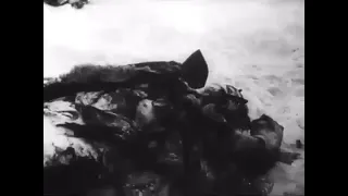 Крюково, 1941 - 8-ая гвардейская стрелковая дивизия / Зеленоград, война  / Schlacht um Moskau