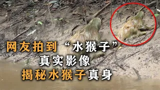 水猴子就是水鬼？网友曝光的水猴子视频，揭秘水猴子真身！