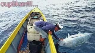 CARRYING OUT FISH during the day||attacked by a herd of GT baboons