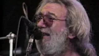 Grateful Dead - Dire Wolf - 6/21/1989 - Shoreline Amphitheatre