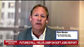 BlackRock's Rieder Still Expects Fed Rate Hike in July