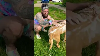 The kids give the dog a bath