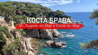 Влог: Пешком из Льорет-де-Мар в сторону Тосса-де-Мар | Коста Брава 2023 | Пляж Canyelles