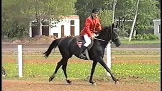 The Perm Hippodrome. The twentieth century  Пермский ипподром. ХХ век