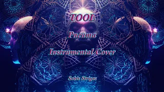 Tool - Pneuma (Instrumental cover/Lyrics)
