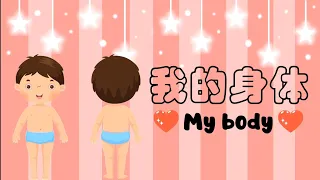 Learn about bodypart in chinese | Bodypart vocabulary | 身体部分