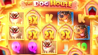 INSANE BONUS ON DOG HOUSE MULTIHOLD!! (bonus buys)