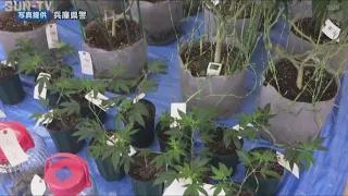 営利目的で大麻栽培した疑い　芸術家グループの男ら３人逮捕