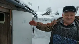 волчица в деревне 28.01.22 г. Слабонервным не смотреть. Мат.