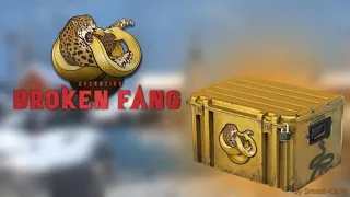 CS:GO Broken Fang Case Opening (NEW CASE)