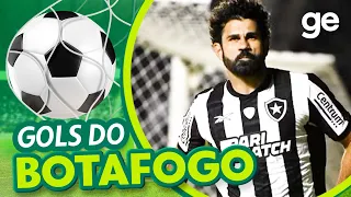 TODOS OS GOLS DO BOTAFOGO NO BRASILEIRÃO 2023! | LISTAS | ge.globo