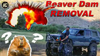 Blowing Up a Beaver Dam!!!