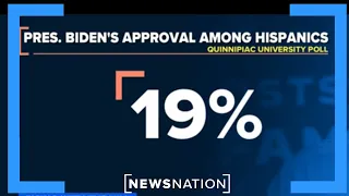 Polls show Democrats losing Latino voters | Morning in America