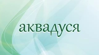 Аквадуся