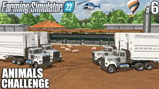 Buying and Transporting PIGS, Harvesting WHEAT | ANIMALS Challenge | Farming Simulator 22