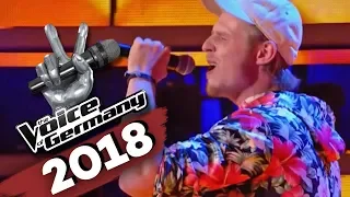 Die Fantastischen Vier - Tag am Meer (Dominik Hartz) | The Voice of Germany  | Blind Audition