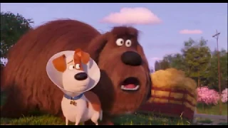 The Secret Life of Pets 2 ( 2019 ) - Funny Mad Hen scene