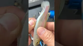 How to fix a torn swimbait in a minute 🤩👍 / Megabass Magdraft / Silicone lures