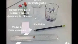 Présentation de la Chromatographie sur Couche Mince (C.C.M)