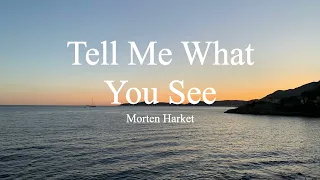 Morten Harket-Tell Me What You See (lyrics)