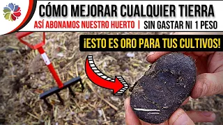 🌱 Cómo MEJORAR la TIERRA para tus CULTIVOS GRATIS - Uso de ESTIÉRCOL en el HUERTO, Así lo hacemos.