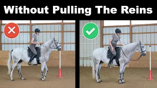 How to Stop A Horse With Your Seat 🐎