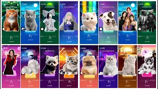 CUTE CATS VS DOGS VS ANIME VIDEO MEGAMIX BLOODY MARY | TOCA TOCA DANCE | SIA UNSTOPPABLE | GANGNAM
