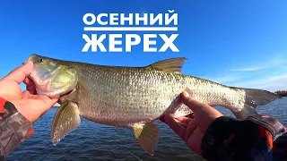 КРУТО ПОЛОВИЛ ЖЕРЕХА НА КРЭНКИ И БЛЁСНЫ!!!ОТВЁЛ ДУШУ НА ЖЕРЕХЕ!!! .