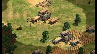 Top Unusual (Outside the Box) Strategies - Age of Empires 2