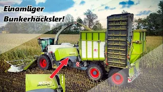 MAIS 2020! CLAAS JAGUAR 9700 TERRA XX - BUNKERHÄCKSLER!  Claas - Überladewagen - Fendt