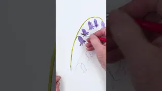 How to Paint Bluebells and a Bumblebee in Watercolor - Timelapse Preview of Full Realtime Tutorial