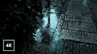 GENTLE RAIN on Path to Sleep in 5 Minutes. Soft Rain Sounds for Insomnia Relief. 12 Hours