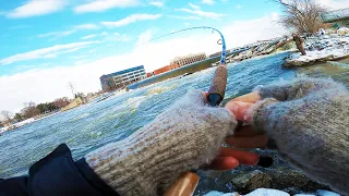 Urban Shore Fishing for Lake Michigan Steelhead