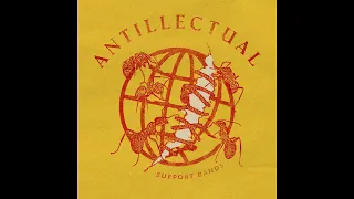 Antillectual - Support Bands