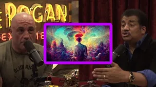 Joe Rogan & Neil deGrasse Tyson: Why Neil Has NEVER Done Psychedelics!?!