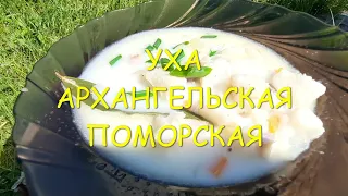 УХА АРХАНГЕЛЬСКАЯ ПОМОРСКАЯ #уха#рецепты