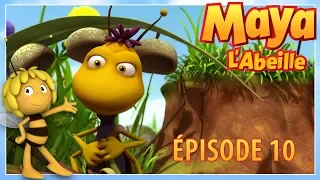 Maya L'abeille - nouvelle série - Épisode 10 - Un cricri dans la nuit | épisode entier