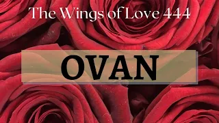 OVAN ♈ Razocarenje boli, ali ne gubite nadu! Tarot Citanje za ♈  @The Wings of Love 444