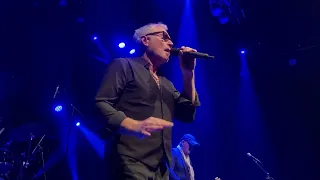 Jan Akkerman - Down Man (Live in P60, Amstelveen 2022)