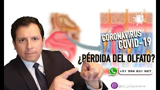 ¿PÉRDIDA DEL OLFATO❓🤔 ¿POR QUÉ SE PIERDE EL OLFATO EN EL COVID 19❓