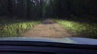 Rav4 AWD Off-Road 2-Track 4K