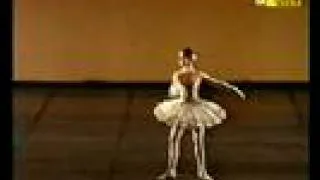 Alina Cojocaru at 21 - Don Quixote pdd variation